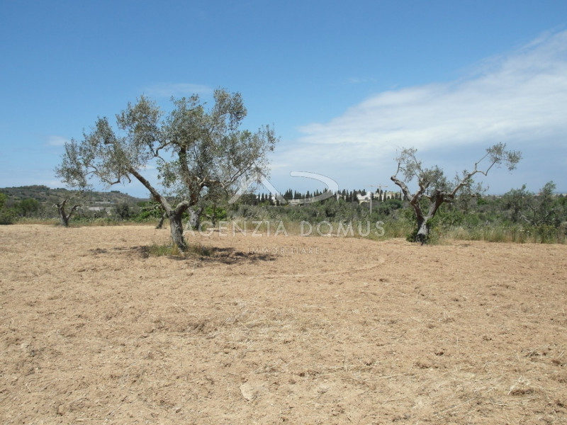 Immagine 7 di Terreno in vendita  in Località Argillari a Racale