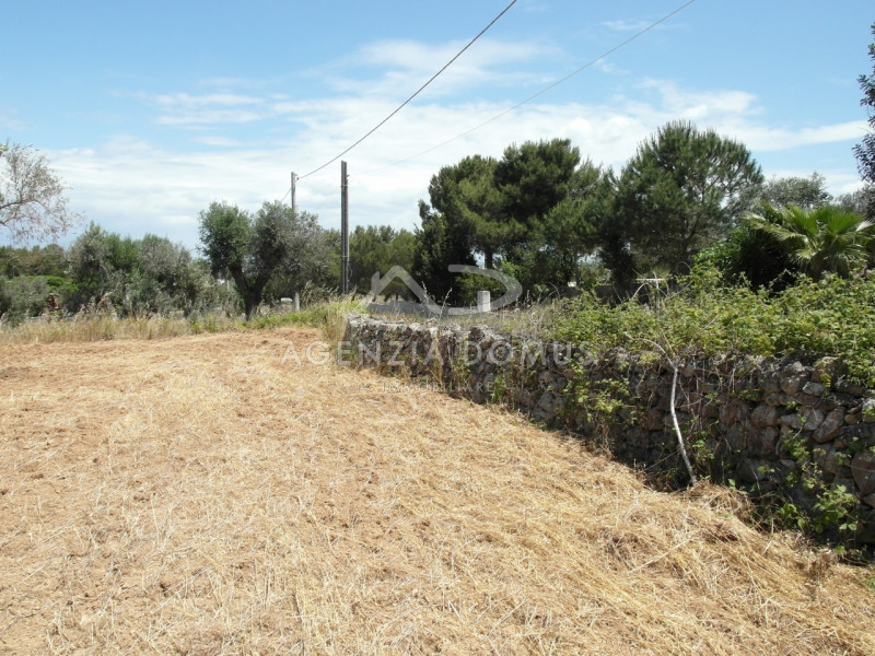 Immagine 8 di Terreno in vendita  in Località Argillari a Racale