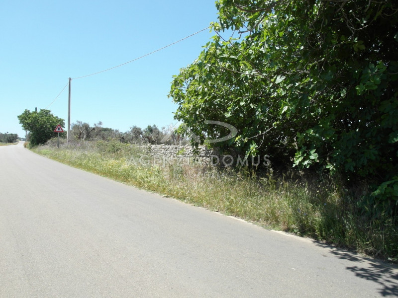 Immagine 10 di Terreno in vendita  in Località Argillari a Racale