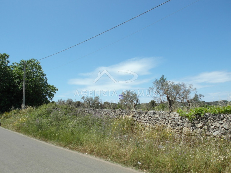 Immagine 11 di Terreno in vendita  in Località Argillari a Racale