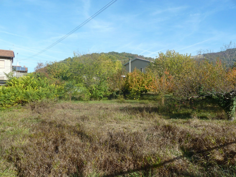 Immagine 3 di Terreno in vendita  a Tregnago