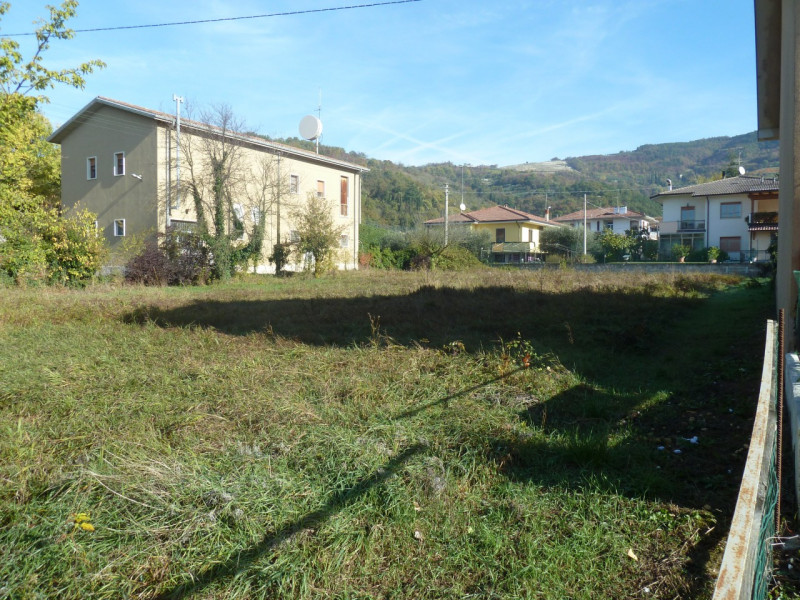 Immagine 4 di Terreno in vendita  a Tregnago