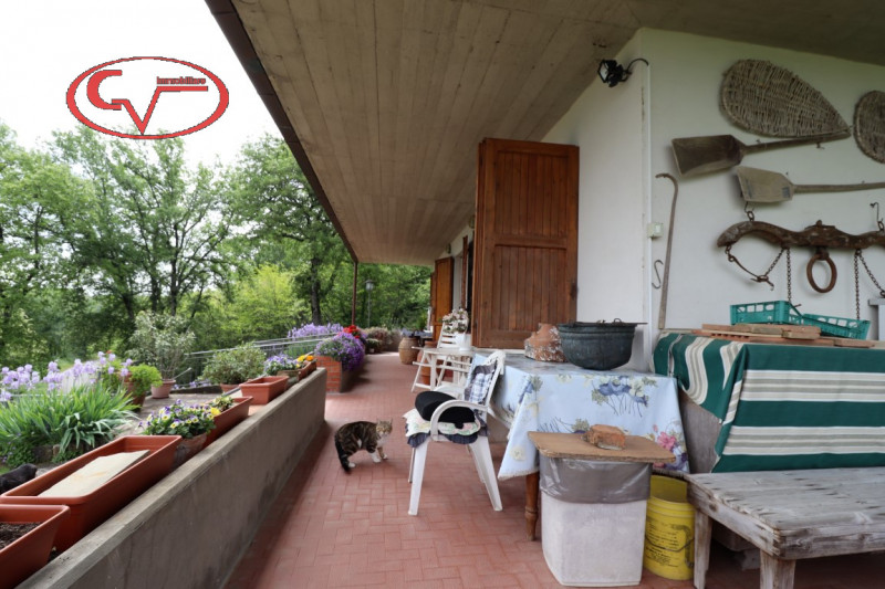 Immagine 5 di Villa in vendita  in chiantigiana a Cavriglia