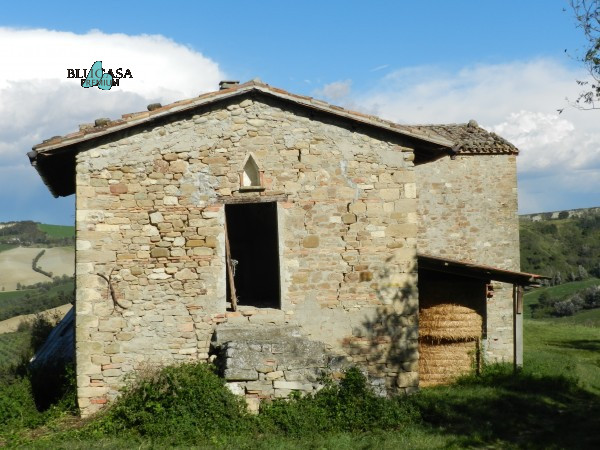 Immagine 4 di Rustico / casale in vendita  a Meldola