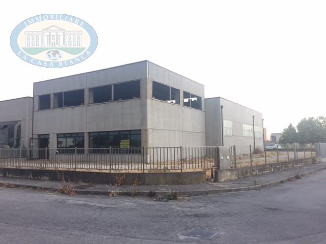 Immagine 2 di Capannone industriale in vendita  a Solesino