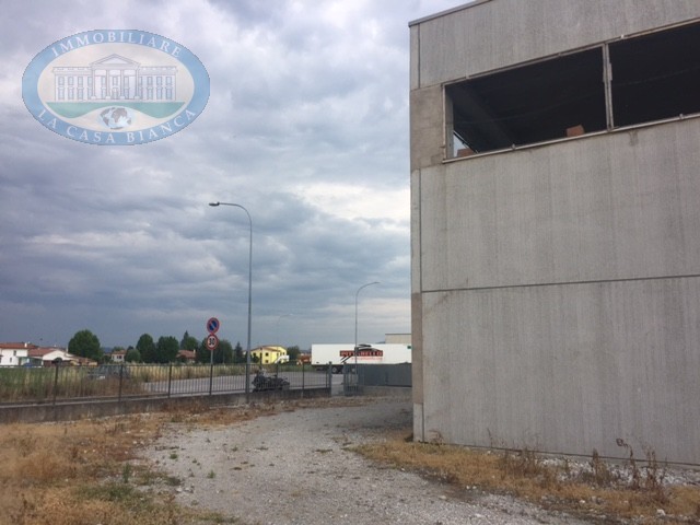 Immagine 3 di Capannone industriale in vendita  a Solesino