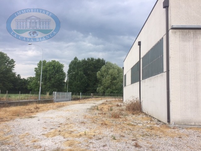 Immagine 4 di Capannone industriale in vendita  a Solesino