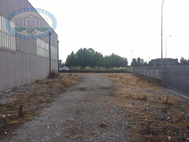 Immagine 5 di Capannone industriale in vendita  a Solesino