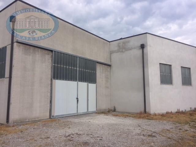 Immagine 6 di Capannone industriale in vendita  a Solesino