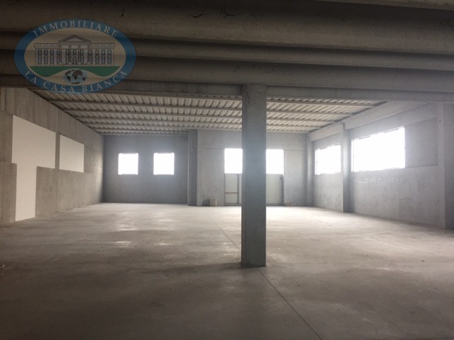 Immagine 7 di Capannone industriale in vendita  a Solesino