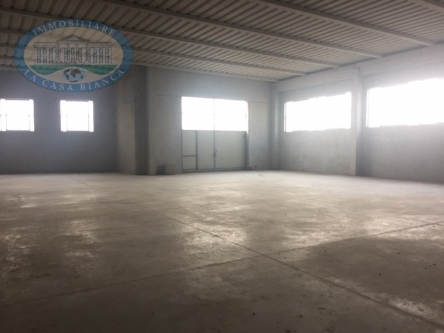 Immagine 8 di Capannone industriale in vendita  a Solesino