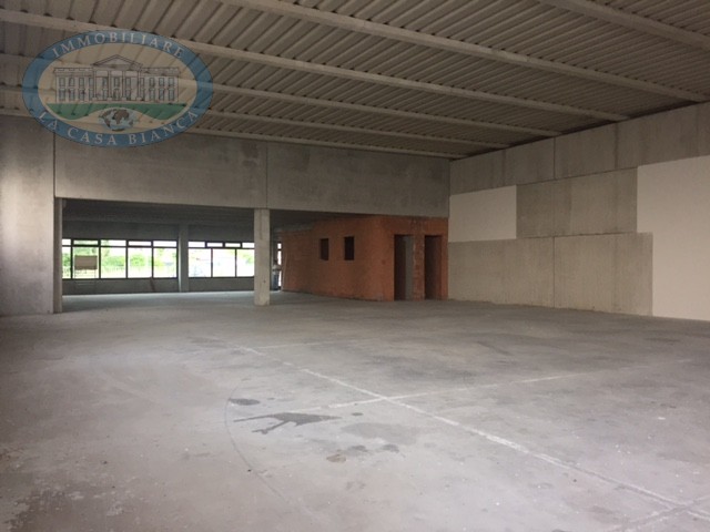 Immagine 9 di Capannone industriale in vendita  a Solesino