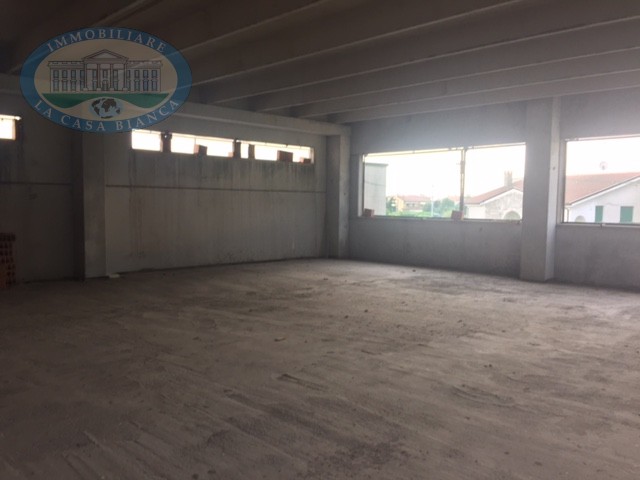 Immagine 10 di Capannone industriale in vendita  a Solesino