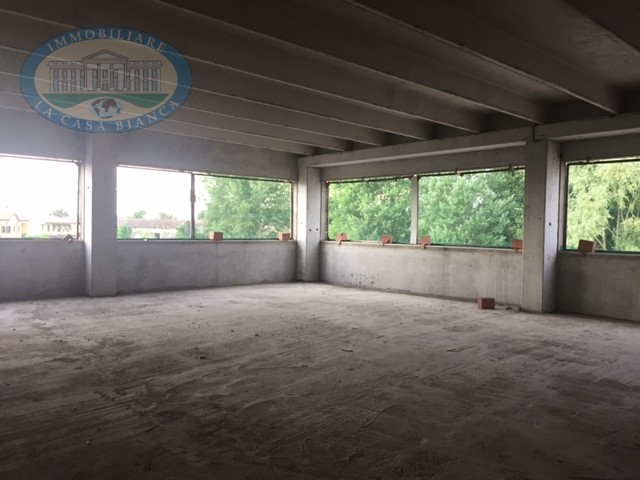 Immagine 11 di Capannone industriale in vendita  a Solesino