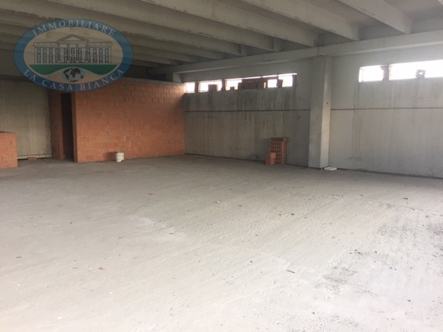 Immagine 12 di Capannone industriale in vendita  a Solesino
