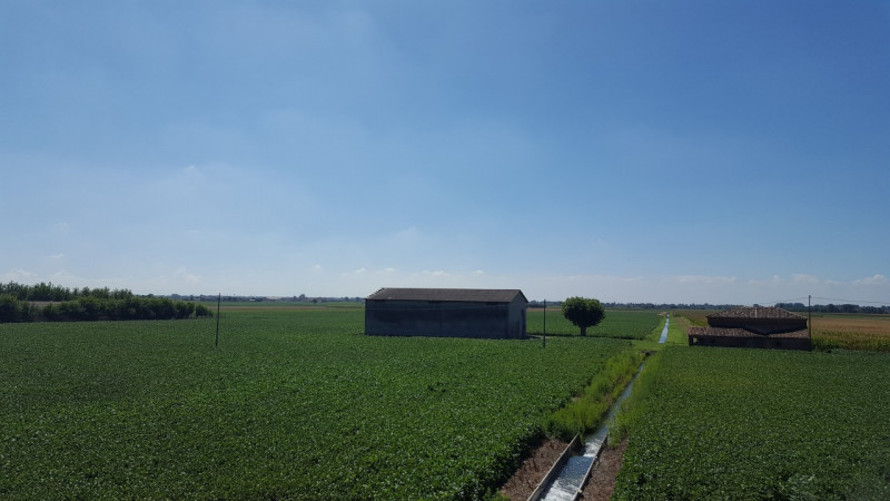 Immagine 2 di Terreno in vendita  in Via 28 aprile a Vescovana