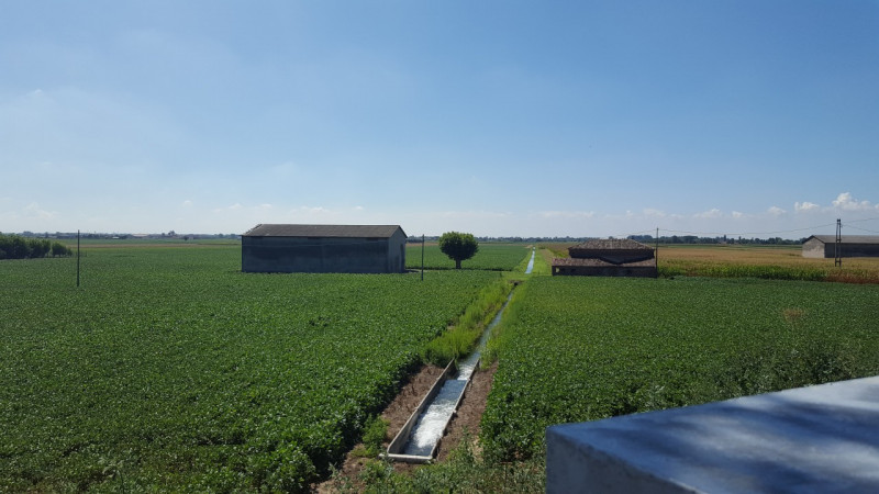 Immagine 3 di Terreno in vendita  in Via 28 aprile a Vescovana