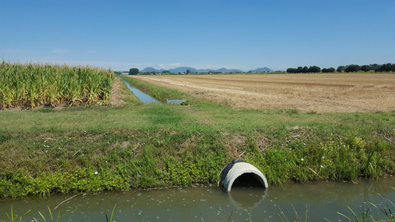 Immagine 5 di Terreno in vendita  in Via 28 aprile a Vescovana