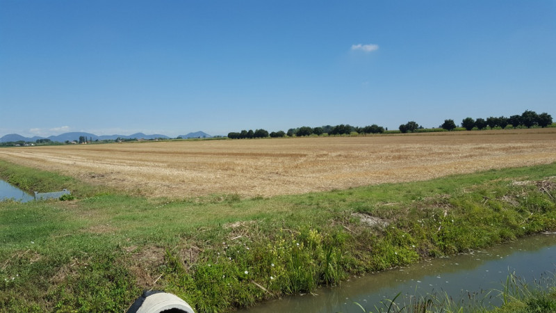 Immagine 6 di Terreno in vendita  in Via 28 aprile a Vescovana