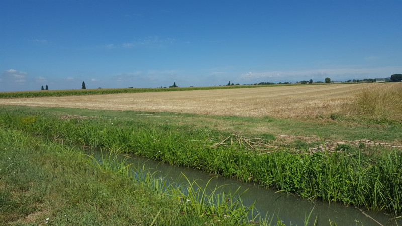 Immagine 7 di Terreno in vendita  in Via 28 aprile a Vescovana