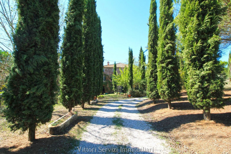 Immagine 3 di Rustico / casale in vendita  in sinalunga a Sinalunga