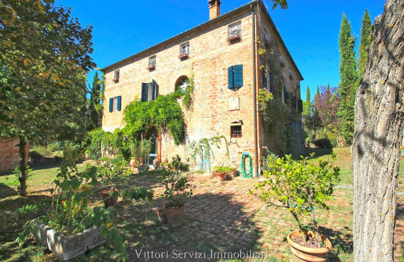 Immagine 6 di Rustico / casale in vendita  in sinalunga a Sinalunga