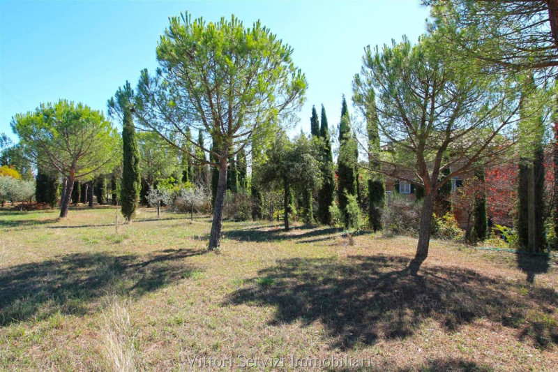 Immagine 7 di Rustico / casale in vendita  in sinalunga a Sinalunga