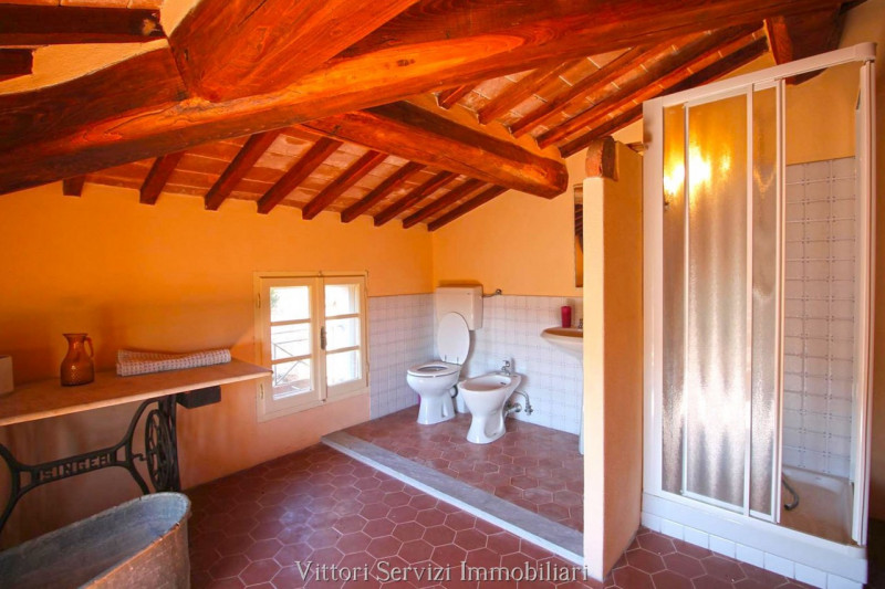 Immagine 24 di Rustico / casale in vendita  in sinalunga a Sinalunga