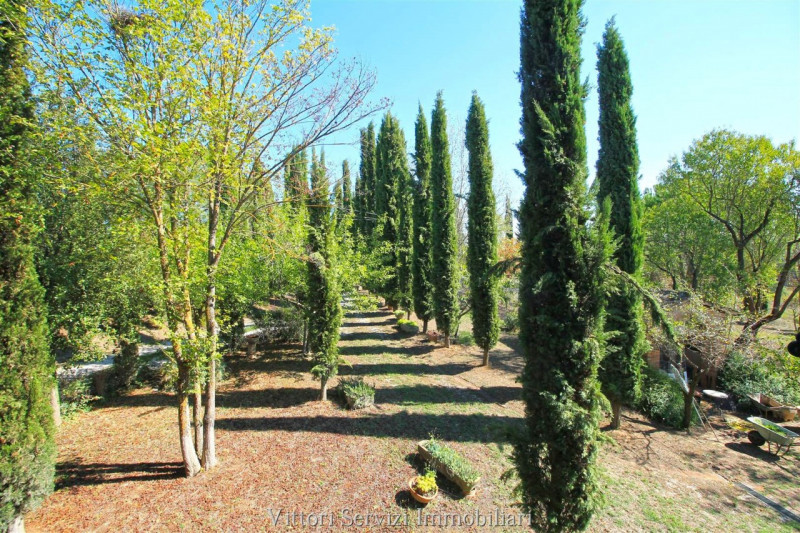 Immagine 29 di Rustico / casale in vendita  in sinalunga a Sinalunga