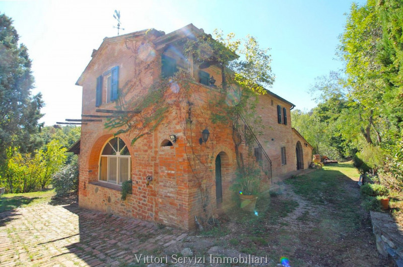 Immagine 61 di Rustico / casale in vendita  in sinalunga a Sinalunga