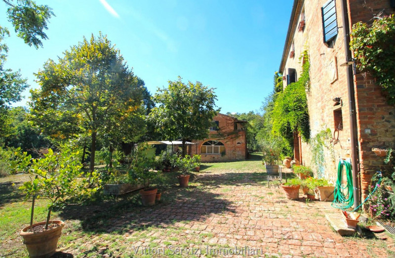 Immagine 62 di Rustico / casale in vendita  in sinalunga a Sinalunga