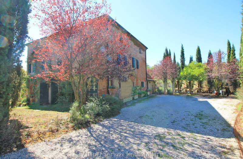 Immagine 65 di Rustico / casale in vendita  in sinalunga a Sinalunga