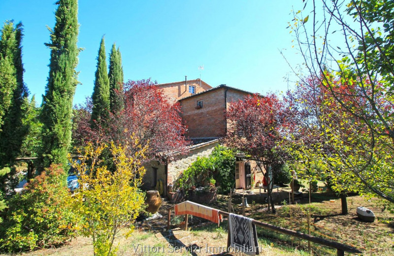 Immagine 66 di Rustico / casale in vendita  in sinalunga a Sinalunga