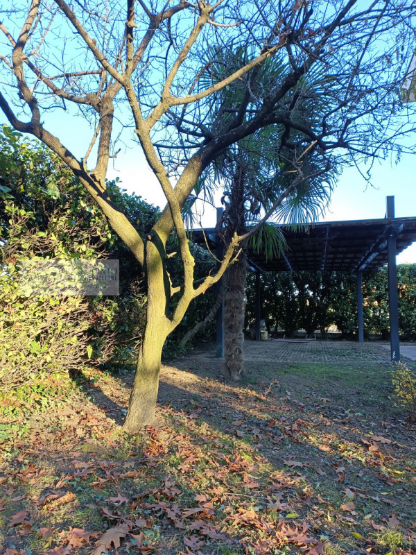 Immagine 6 di Villa in vendita  a Quinto Di Treviso