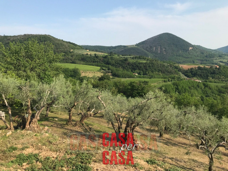 Immagine 2 di Rustico / casale in vendita  in valnogaredo a Cinto Euganeo