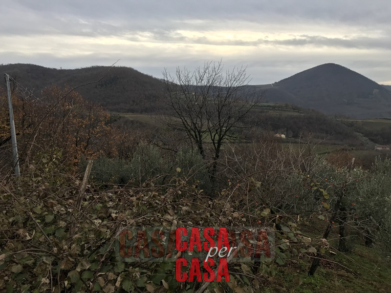 Immagine 6 di Rustico / casale in vendita  in valnogaredo a Cinto Euganeo