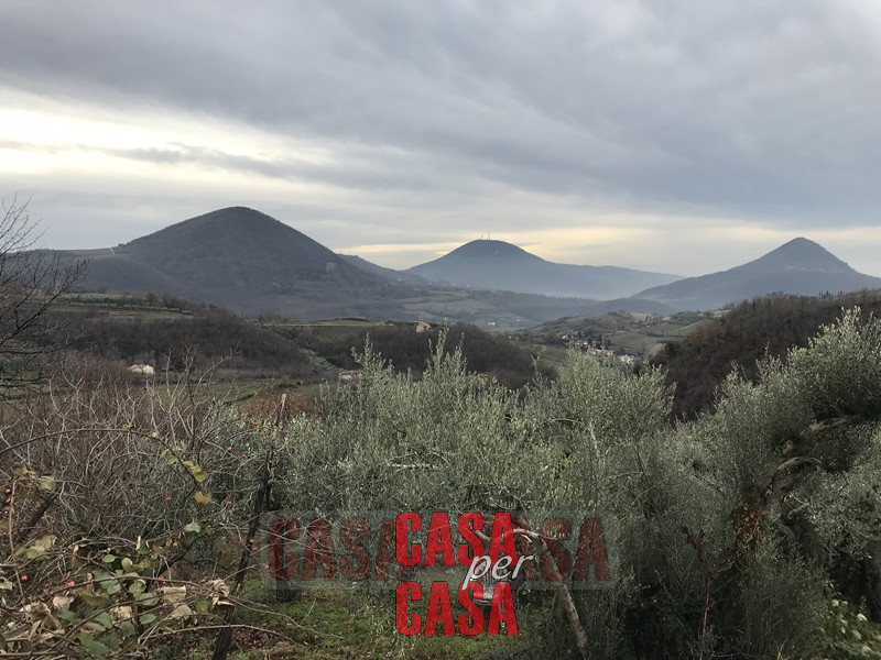Immagine 7 di Rustico / casale in vendita  in valnogaredo a Cinto Euganeo