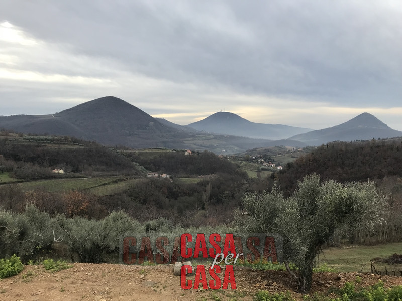 Immagine 13 di Rustico / casale in vendita  in valnogaredo a Cinto Euganeo