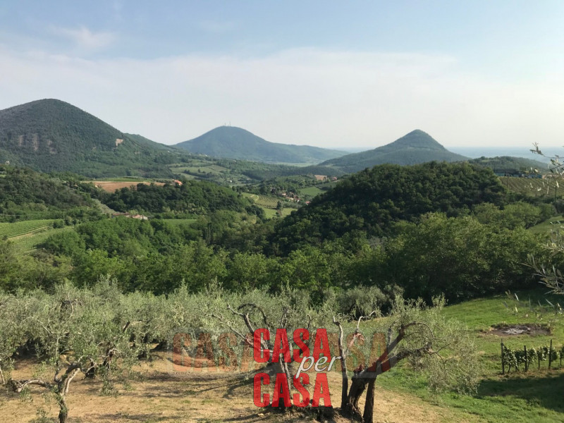 Immagine 17 di Rustico / casale in vendita  in valnogaredo a Cinto Euganeo