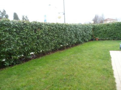 Immagine 12 di Casa bifamiliare in vendita  in via s. bertilla boscardin a Costabissara