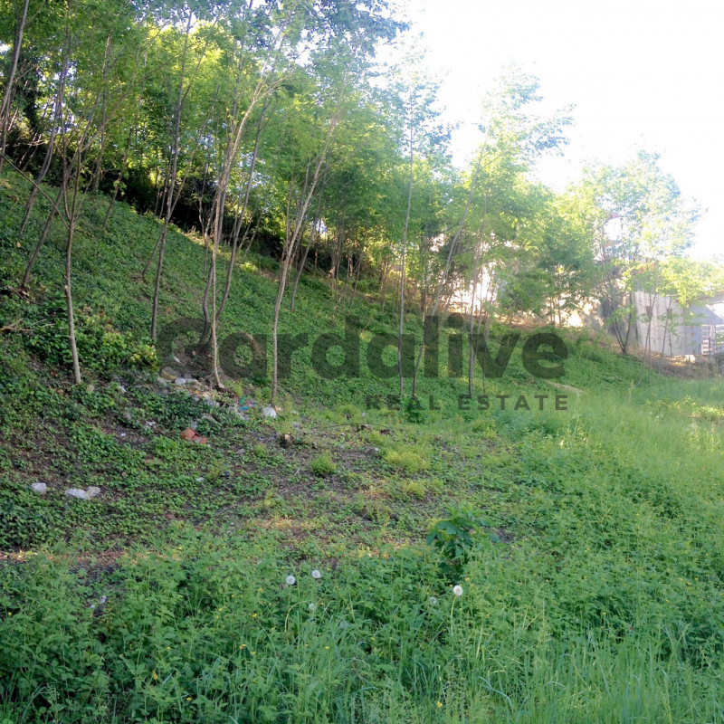 Immagine 5 di Terreno in vendita  in Via Boccale a Puegnago Sul Garda