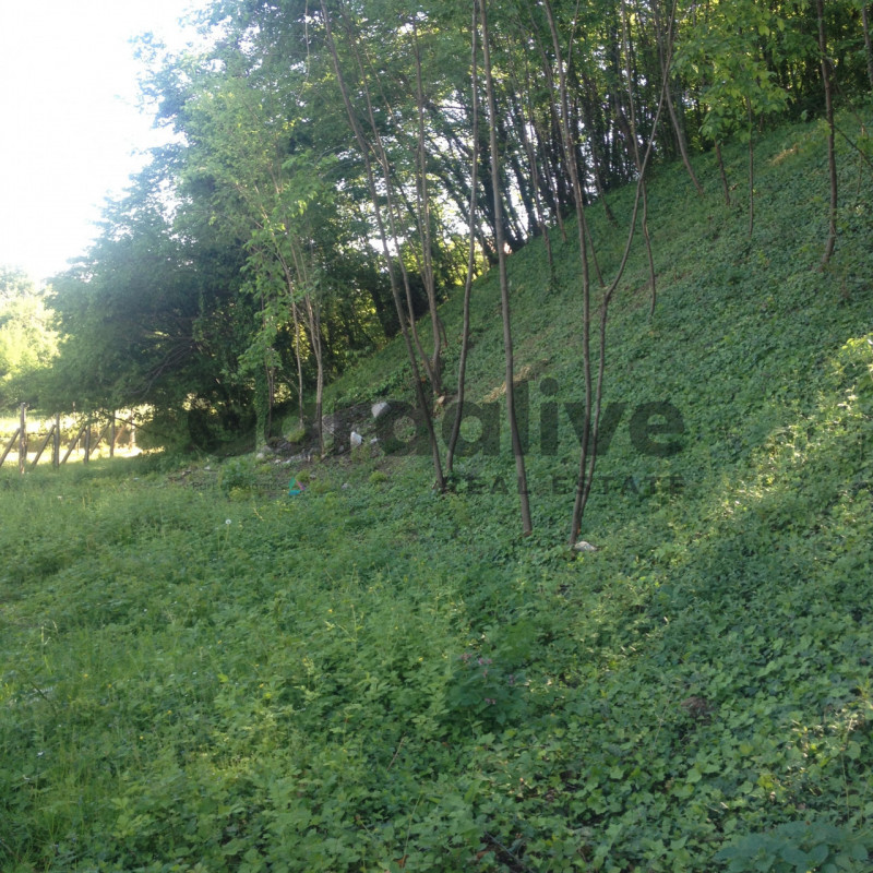 Immagine 6 di Terreno in vendita  in Via Boccale a Puegnago Sul Garda