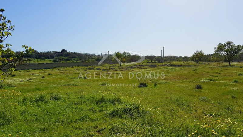 Immagine 2 di Terreno in vendita  in Via Vecchia Gallipoli a Alliste