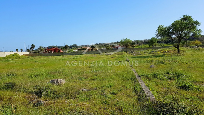 Immagine 3 di Terreno in vendita  in Via Vecchia Gallipoli a Alliste