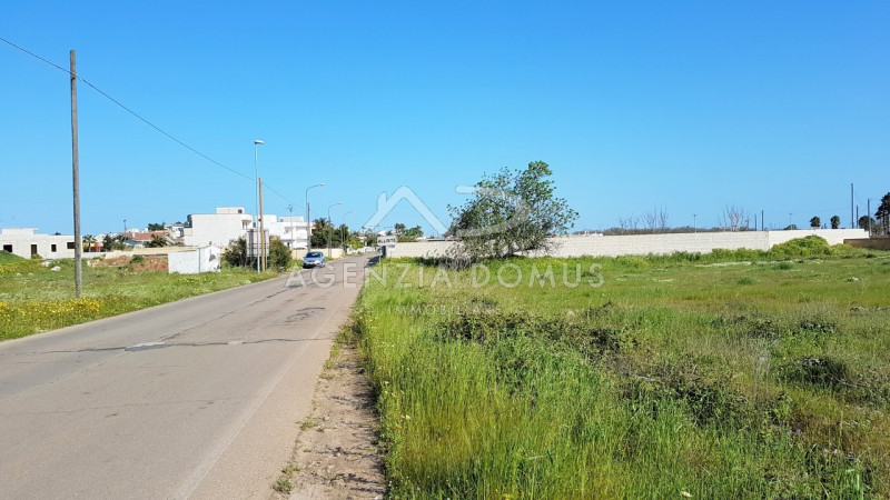 Immagine 5 di Terreno in vendita  in Via Vecchia Gallipoli a Alliste