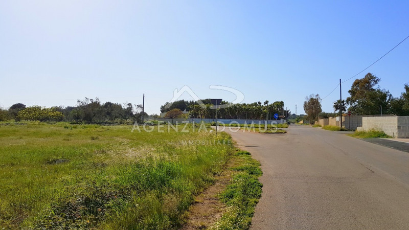 Immagine 7 di Terreno in vendita  in Via Vecchia Gallipoli a Alliste