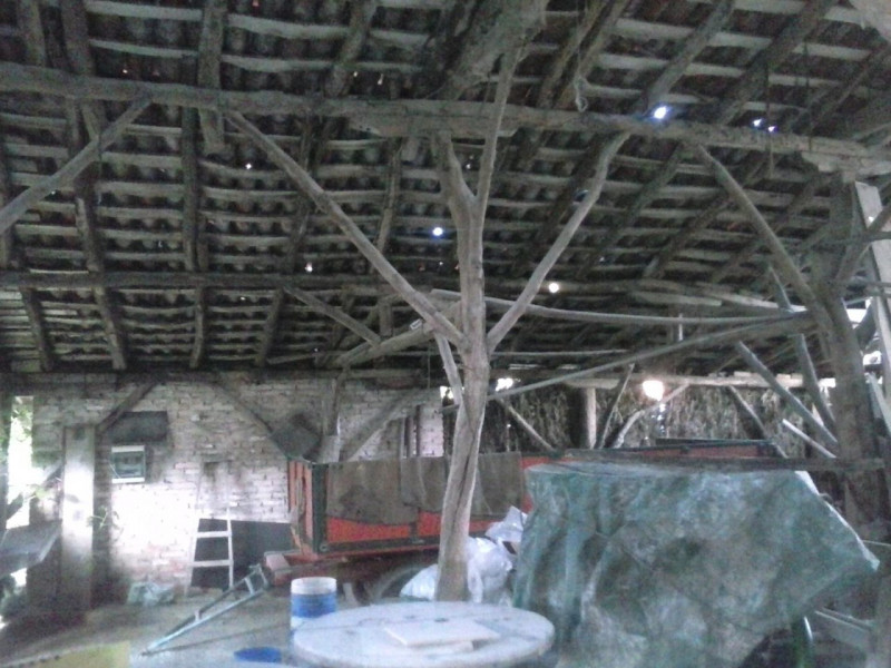 Immagine 2 di Terreno in vendita  in capitello a Mogliano Veneto