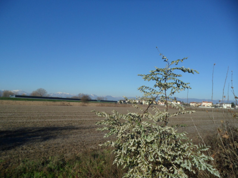 Immagine 2 di Terreno in vendita  in via alture a Torri Di Quartesolo