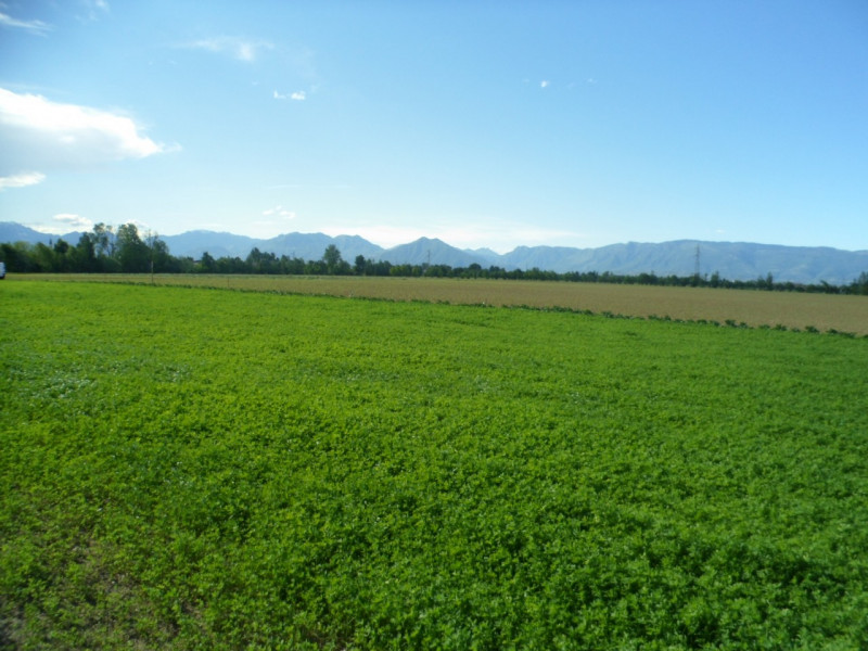 Immagine 4 di Terreno in vendita  in via alture a Torri Di Quartesolo