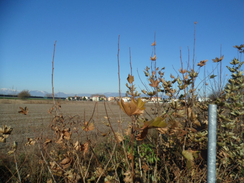 Immagine 10 di Terreno in vendita  in via alture a Torri Di Quartesolo